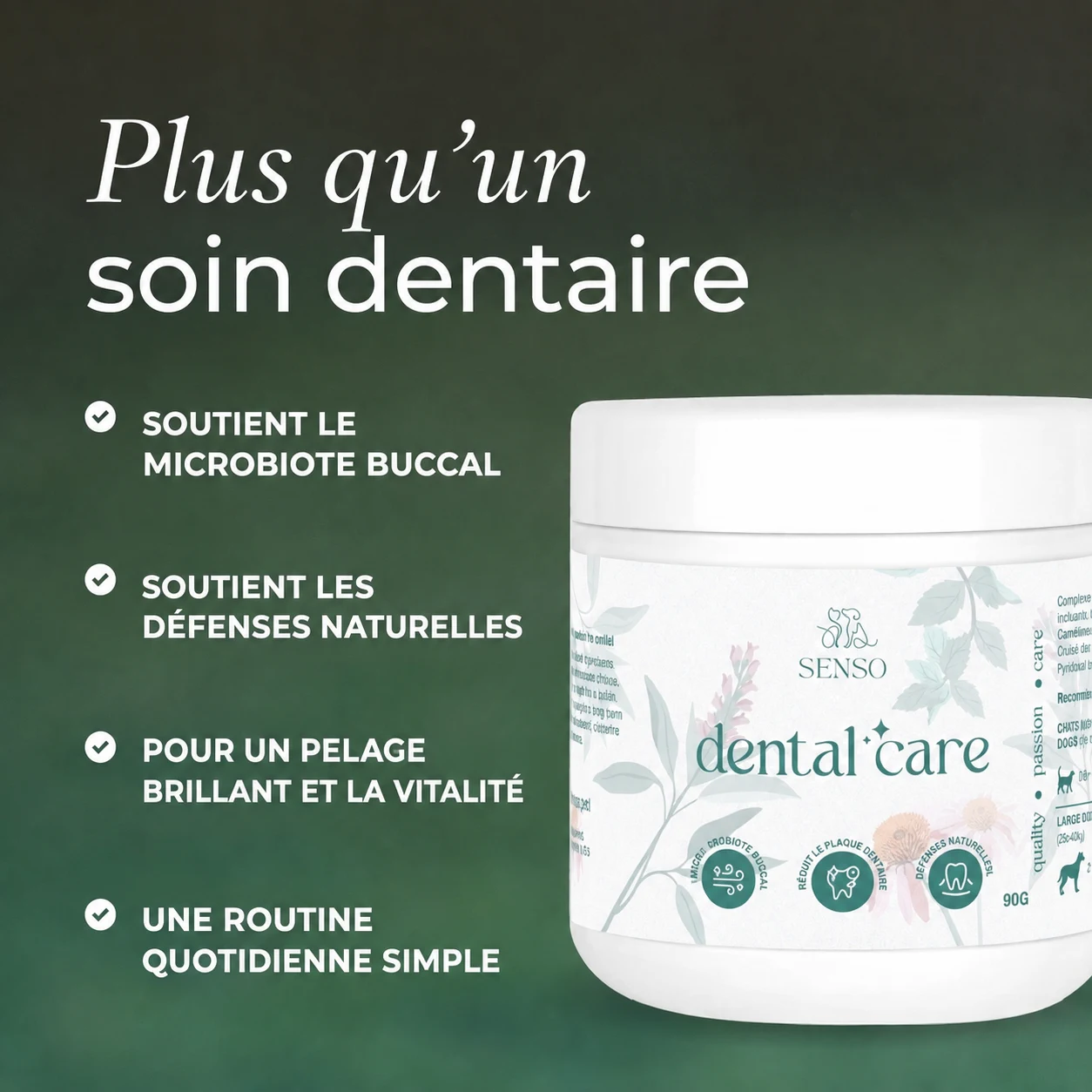 Hygiène dentaire — image 4