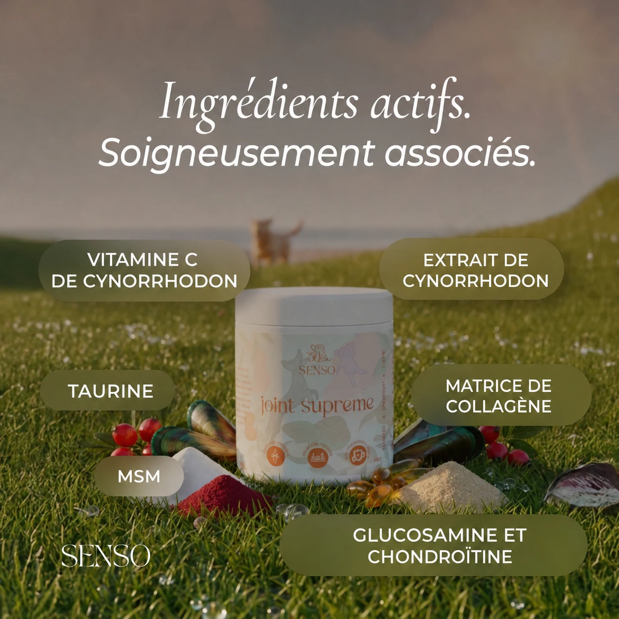Infographie des ingrédients de Joint Supreme