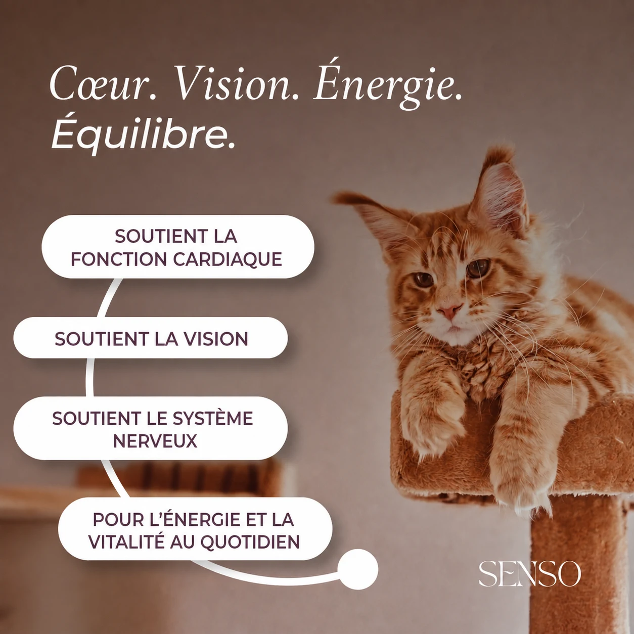 Taurine — image 2